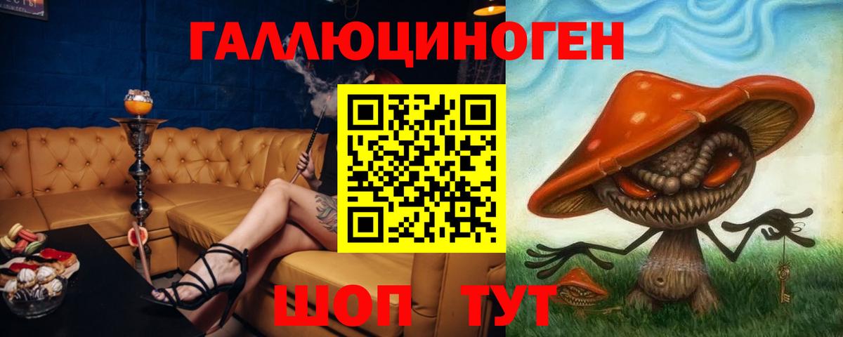 Галлюциногенные грибы Psilocybe  Псилоцибиновые грибы GOLDEN TEACHER  Камень-на-Оби  Вход с VPN 